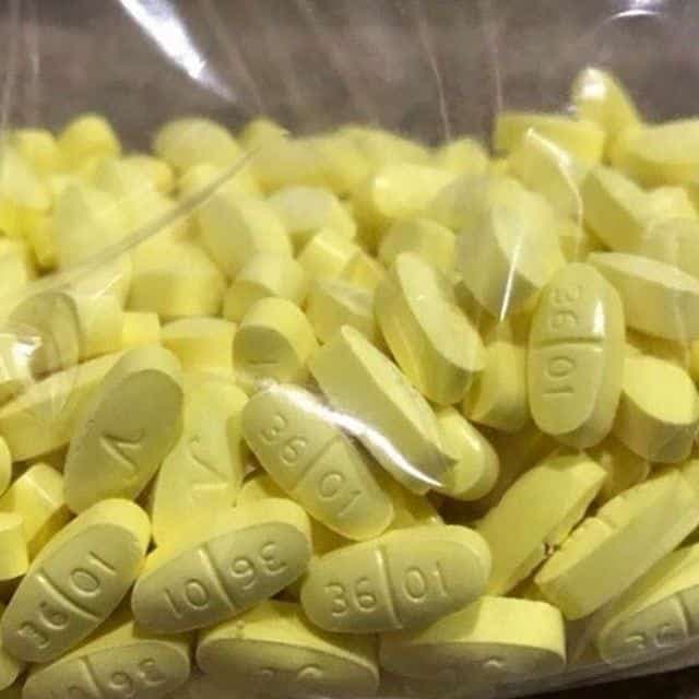 Hydrocodone packaging and contents
