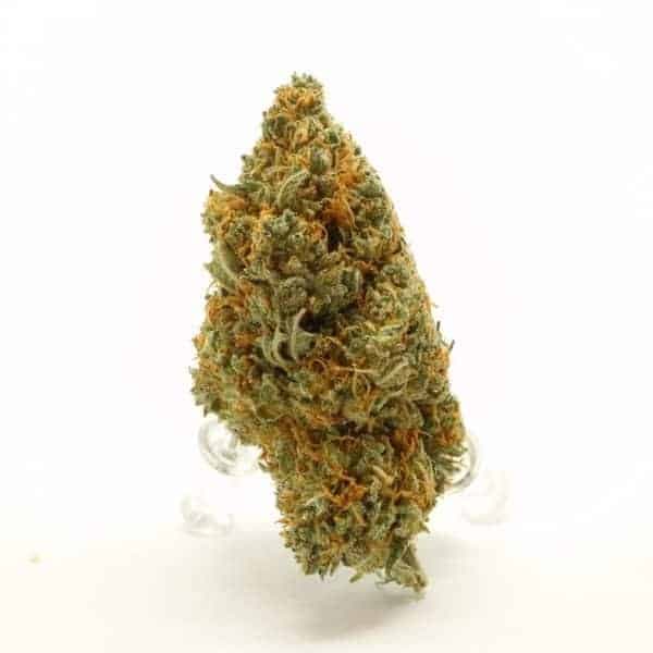 God Bud Indica Grade AAA  product image