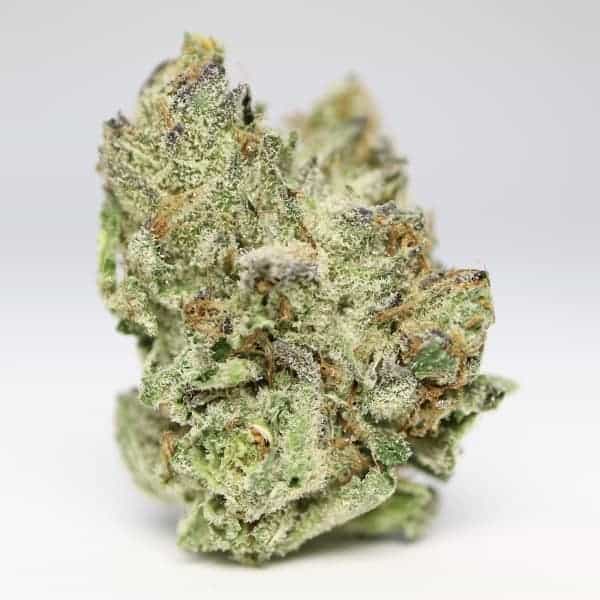 Gorilla Glue Hybrid Grade AAA  product image