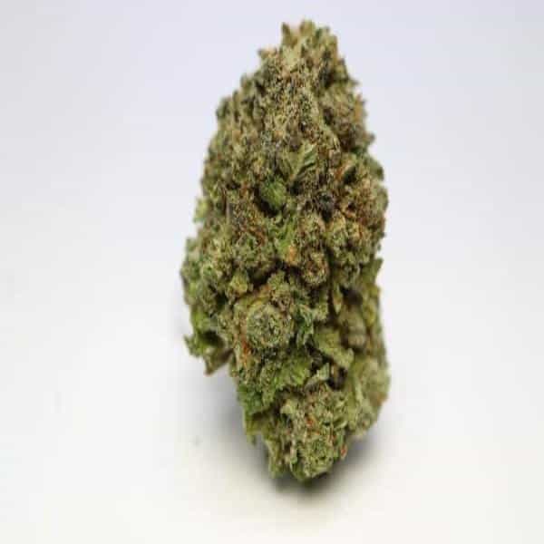 Purple Skunk Indica Grade AAA  product image