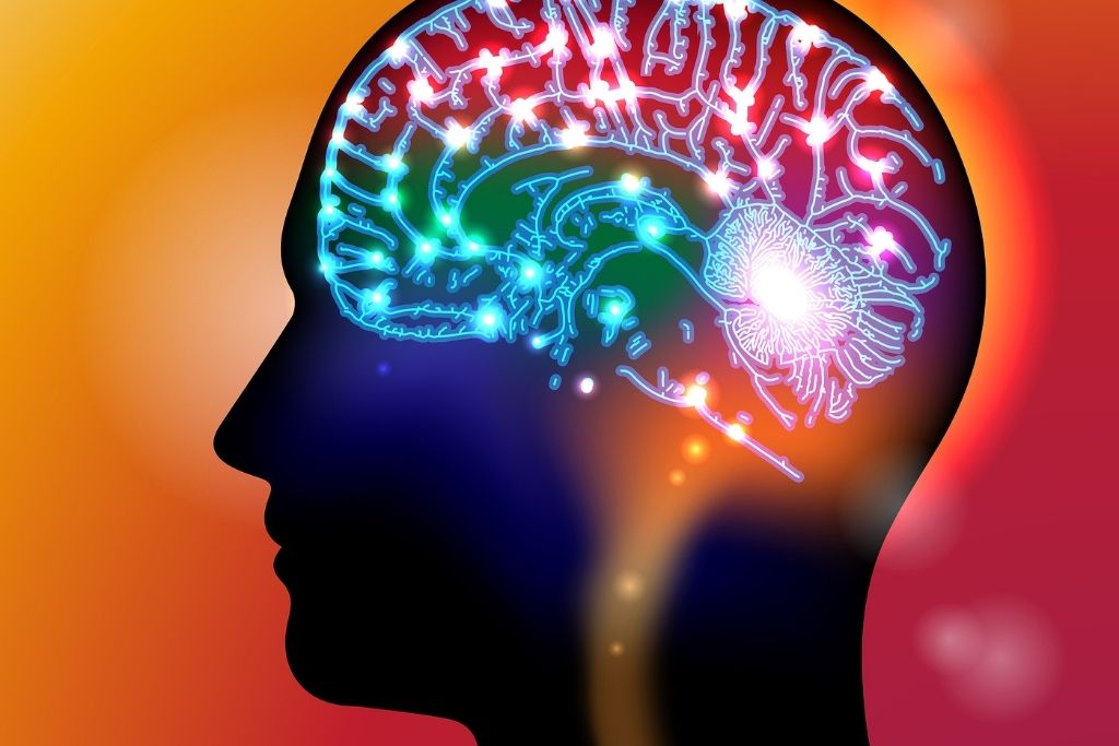 Opioids and Brain Chemistry: Endorphins and Dopamine