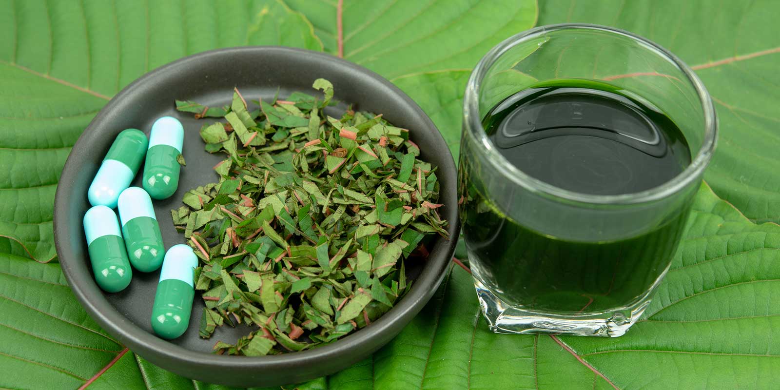 Kratom Addiction and Treatment Options