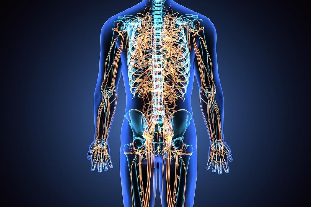 Nervous System Regulation: A Key to Lasting Addiction Recovery
