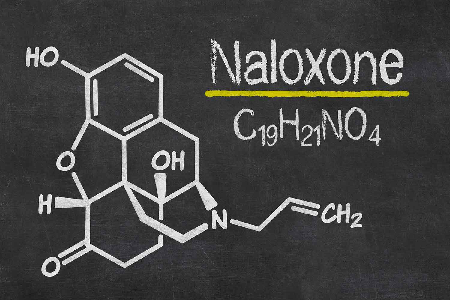 Prescribing Naloxone for Opiate Overdose: Doctors' Concern