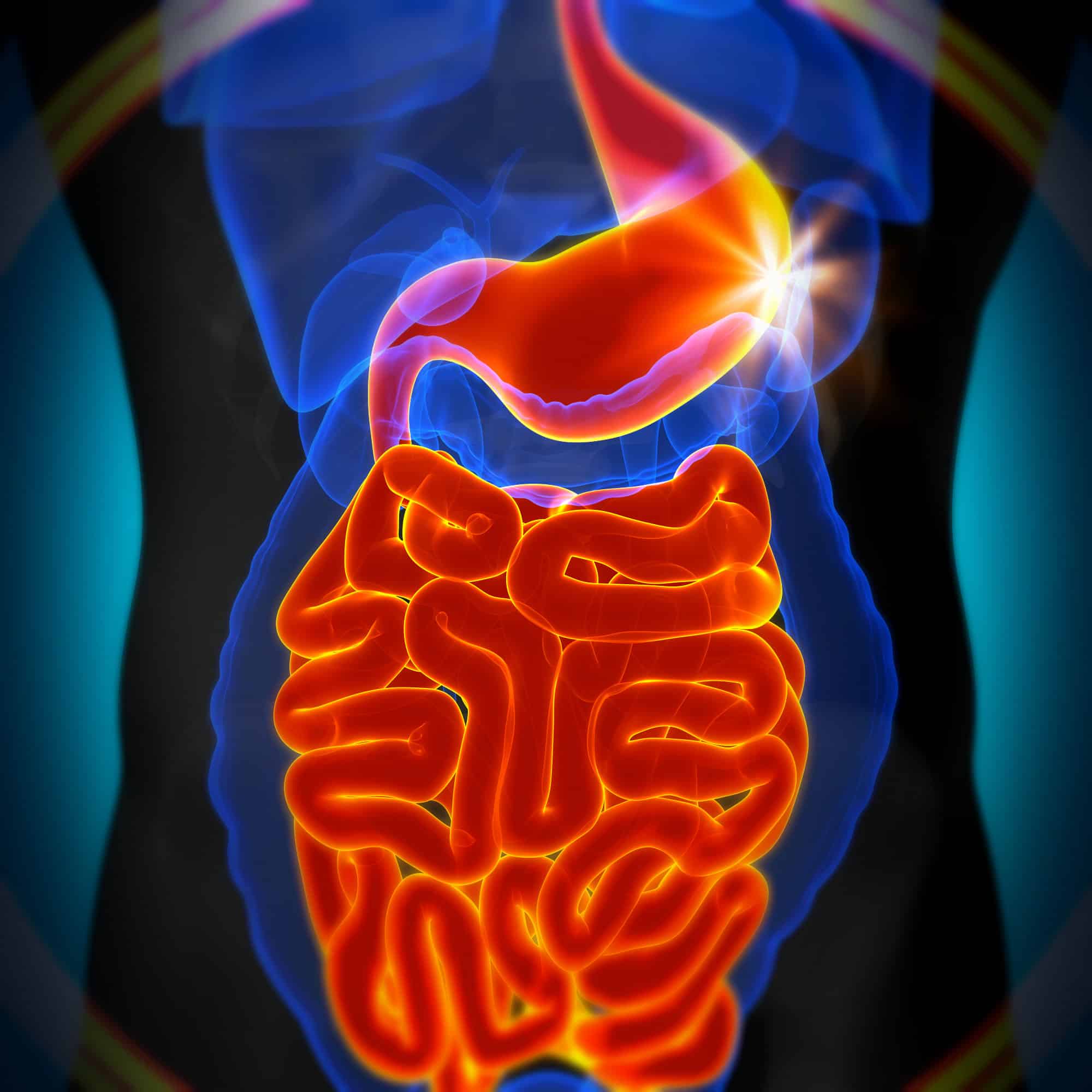 Gut Health and Anxiety and Emotion