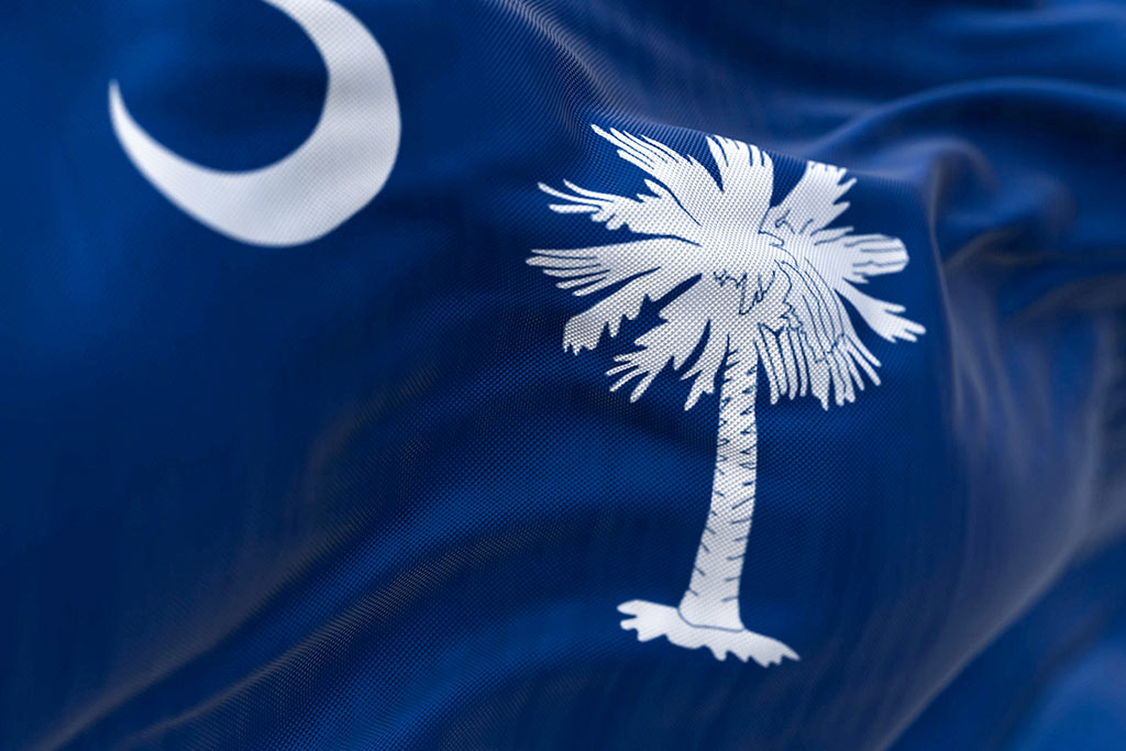 Rapid Opiate Detox in So. Carolina