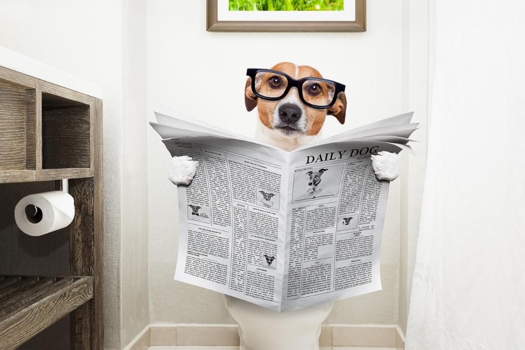 Understanding Opioid-Induced Constipation: Causes, Risks & Relief