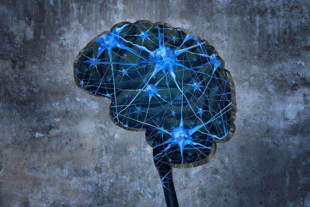 Exploring the Long-Term Effects of Opioid Use
