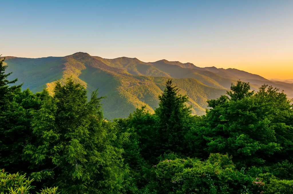 Fentanyl Crisis in Appalachia: Causes, Impact, and Effective Recovery Solutions