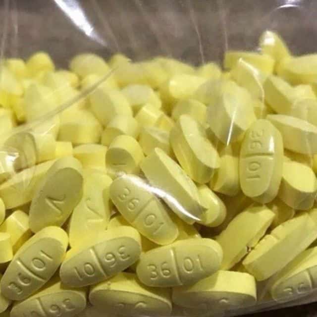 Hydrocodone packaging and contents