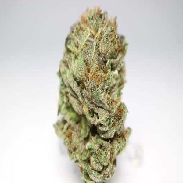 Purple Candy Indica Grade Aaa