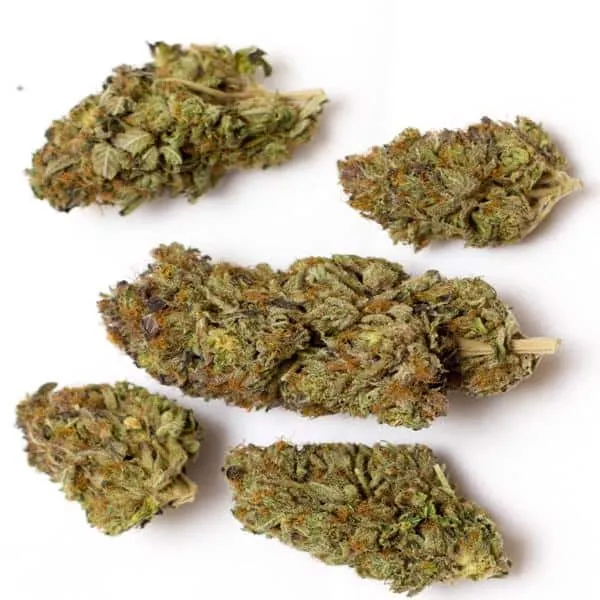 Rockstar Indica Grade Aaa