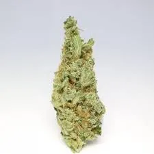 Organic Chocolope Kush Hybrid Grade Aaa