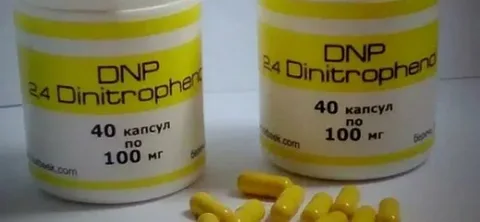 Dnp Capsule
