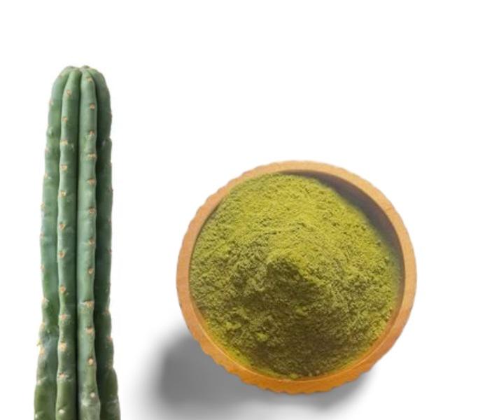 Buy San Pedro Powder Online