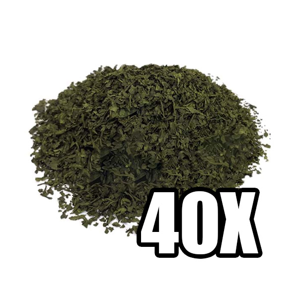 Buy Buy Salvia Extract 40X Online: Premium Salvia Extract online - Premier Dream