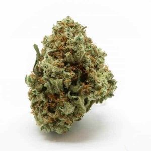 Blue Nuken Hybrid | Grade: AAA