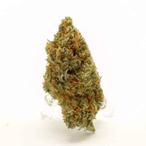 God Bud Indica | Grade: AAA