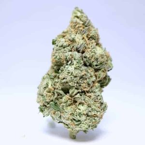 Headband Hybrid | Grade: AAA