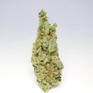 Organic Chocolope Kush Hybrid | Grade: AAA
