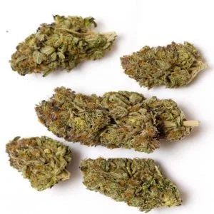 Rockstar-600x600-1